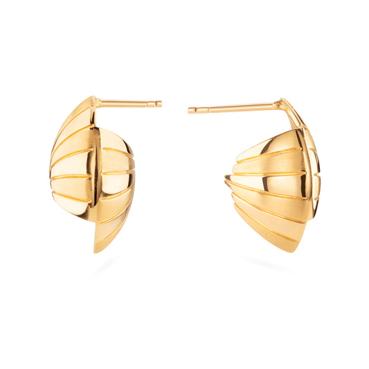 Shore Shell Earrings